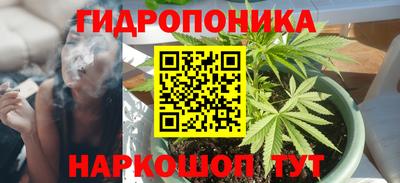дмт Донской