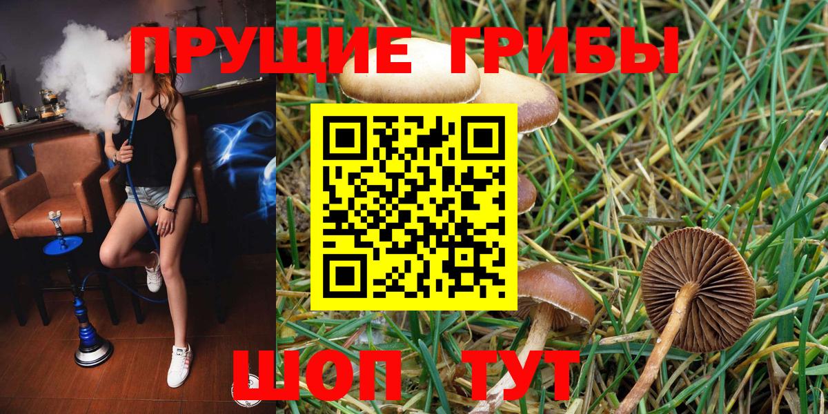 Псилоцибиновые грибы Magic Shrooms Назарово