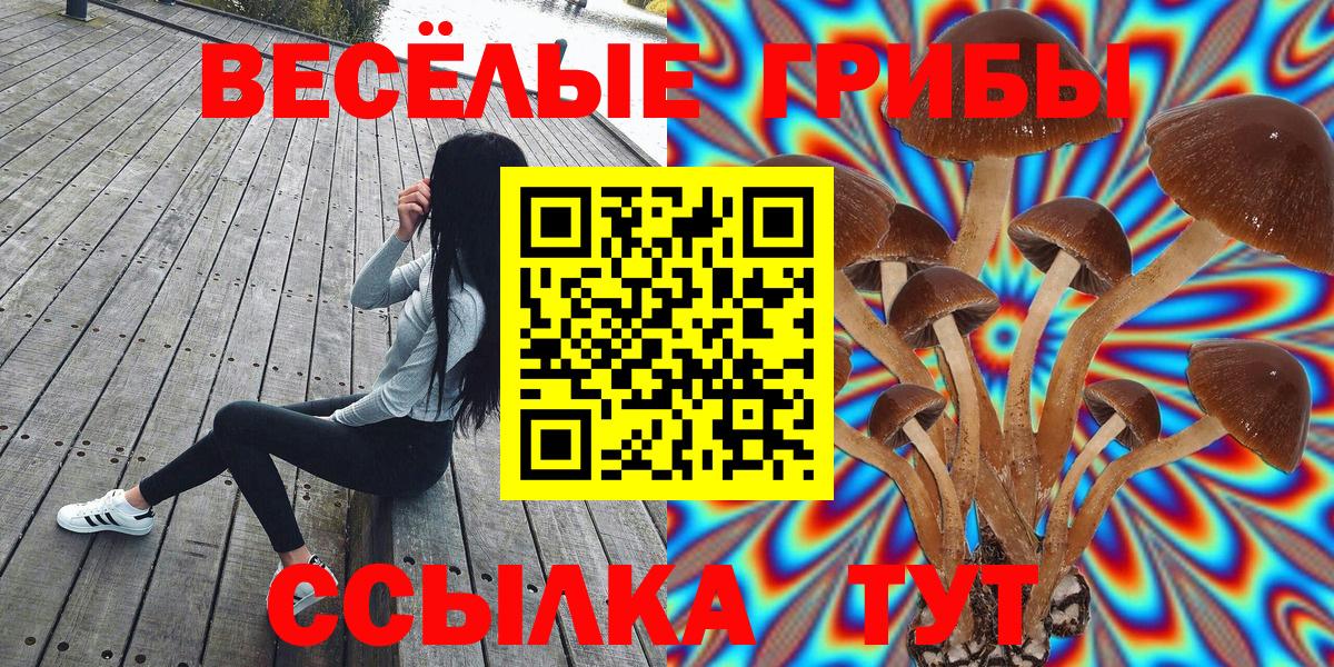 Псилоцибиновые грибы GOLDEN TEACHER  Вход с VPN  Галлюциногенные грибы мухоморы  закладки  Назарово 